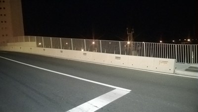 Pel iluminacao.JPG